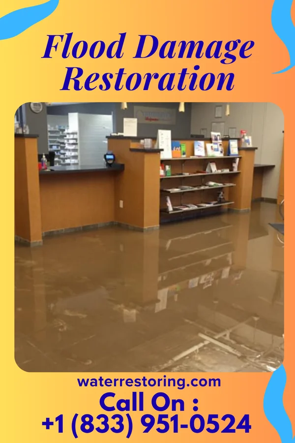 Flood Damage Restoration in Taylorville, IL