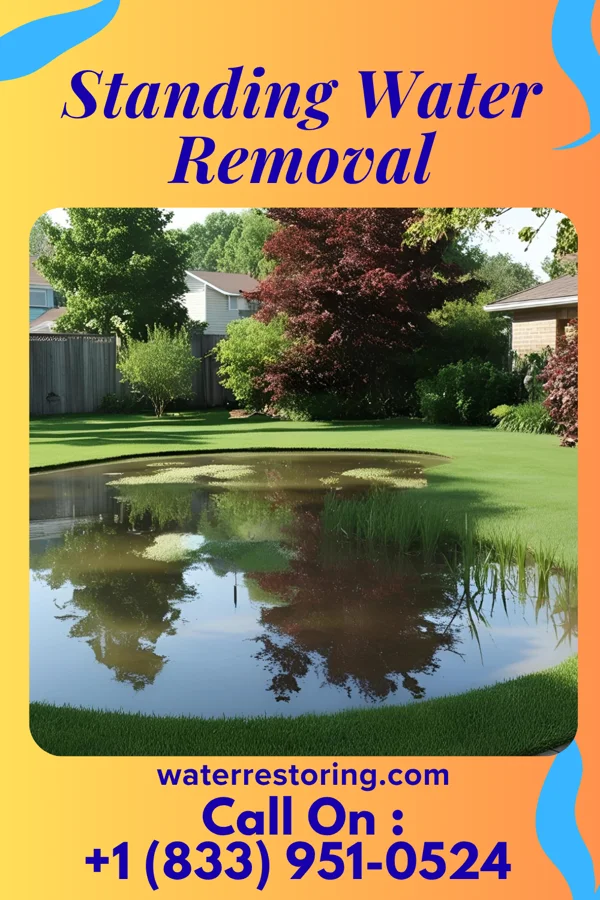 Standing Water Removal in Taylorville, IL
